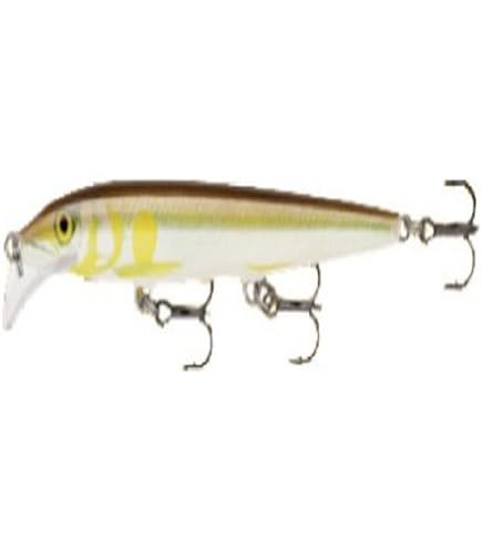 SMITH - ラパラ！Scatter Rap Jointed09！激レア！オールド！ 6d0ac0ad3d7a1a_s9is2l9iel6kn67